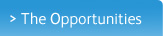 The Opportunities