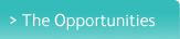 The Opportunities