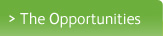The Opportunities